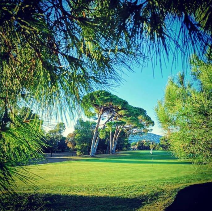 Luxury 3 Piece Garden In Cannes Marina *